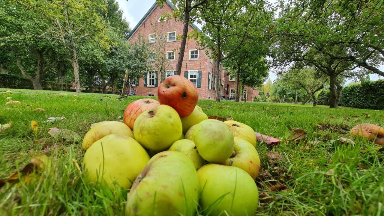 Gulfhof Boomgaarden Boomgaarden 16 Albert Krummhörn Kültér fotó